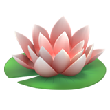 lotus görseli